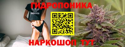 СК Конаково